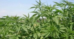 Lots of possibilities