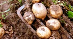 Lots of possibilities