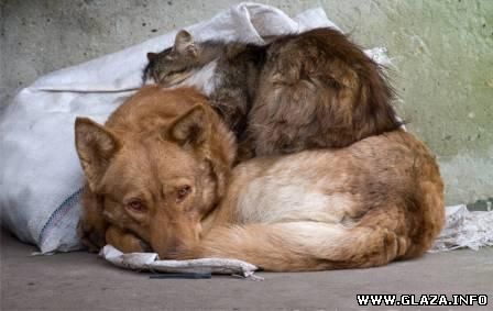 Lots of possibilities