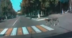 Lots of possibilities