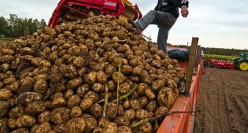 Lots of possibilities