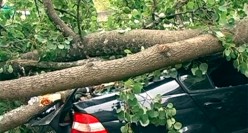 Lots of possibilities