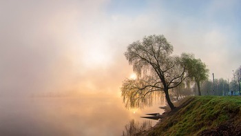 Lots of possibilities