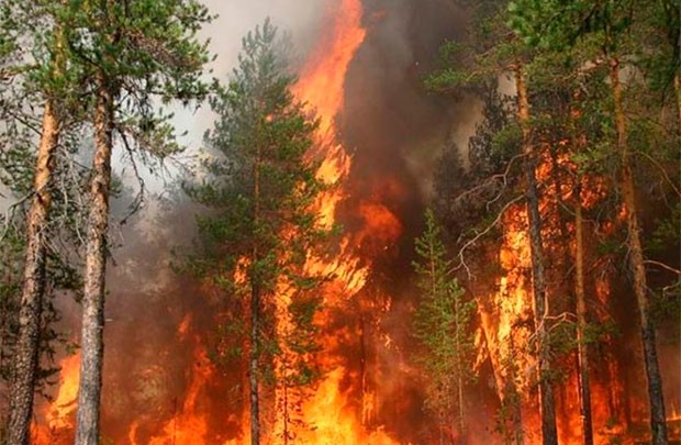 Lots of possibilities