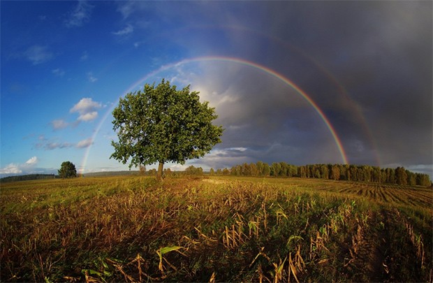 Lots of possibilities