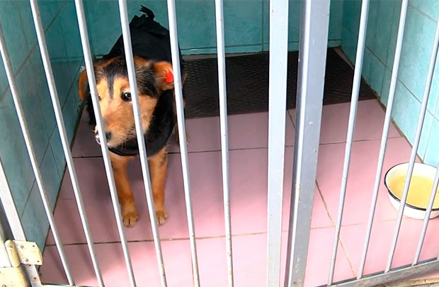 Lots of possibilities