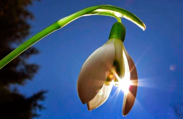 Lots of possibilities