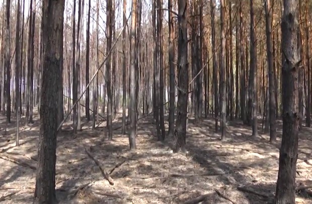 Lots of possibilities