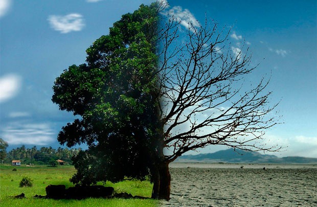 Lots of possibilities