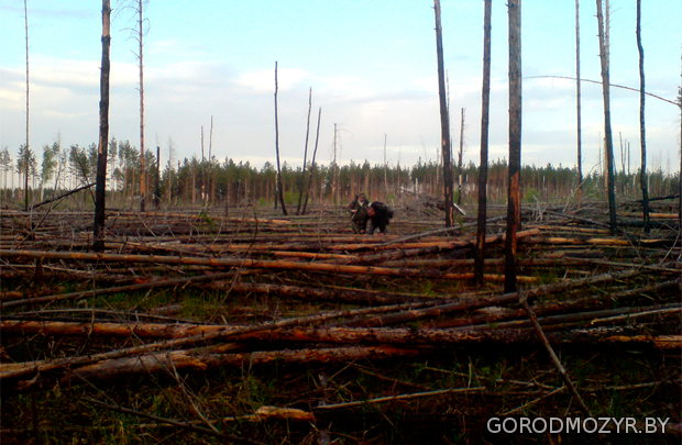 Lots of possibilities