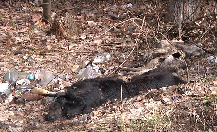 Lots of possibilities