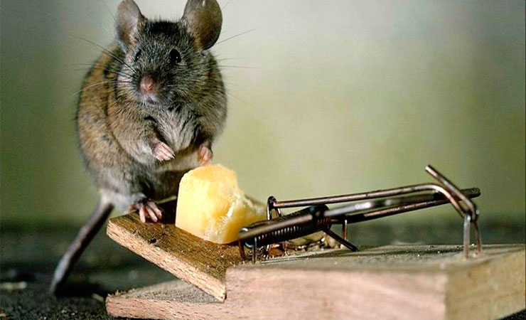 Lots of possibilities