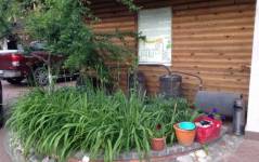 Панский сад