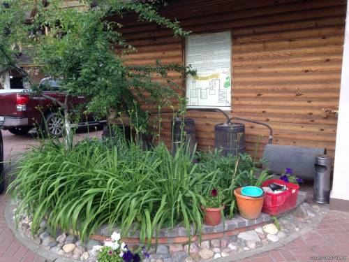 Панский сад